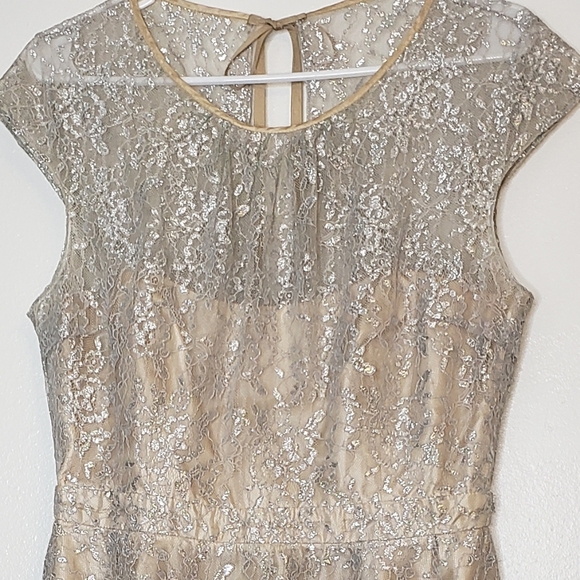 NEW RARE Slate & Willow Champagne Illusion Neckline Glistening Lace Spin Dress - Picture 14 of 16